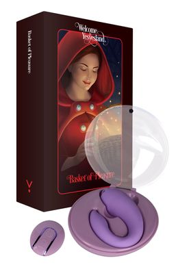 Вібратор для пар FairyGasm PleasureBerry violet, зарядний кейс, пульт ДК