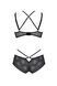 Комплект Passion DROSERA BIKINI black, XXL/XXXL, бюстгальтер і трусики-кюлоти