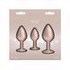 Набір анальних пробок NS Novelties Rear Assets - Trainer Kit - Iridescent Champagne - Clear Gem