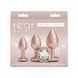 Набір анальних пробок NS Novelties Rear Assets - Trainer Kit - Iridescent Champagne - Clear Gem
