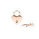 Замочок-сердечко Liebe Seele Heart Shape Padlock Rose Gold (2 шт), універсальний