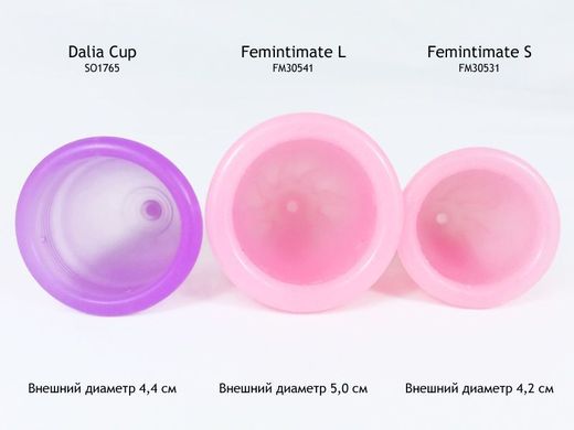 Менструальна чаша Femintimate Eve Cup розмір S з переносним душем, діаметр 3,2 см, Рожевий